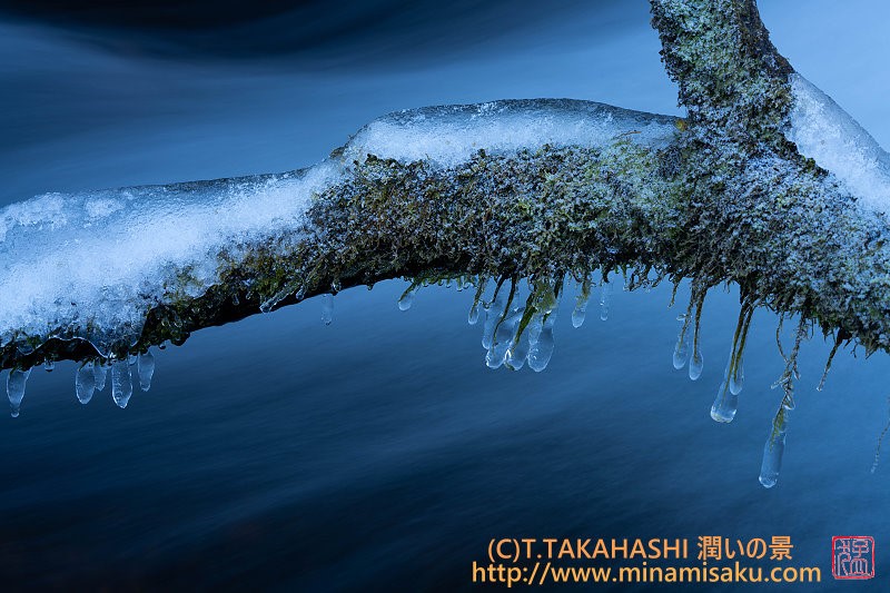 ../Images/7R251129 (136).jpg